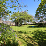 gardd fawr crugeran gyda gwair, coed a phlanhigion