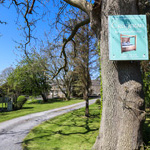 arwydd crugeran ar goeden a llwybr i'r ty