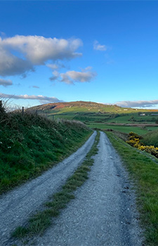 Golwg bell o'r caerau gwyrdd haradd ac yr haul yn sgleinio